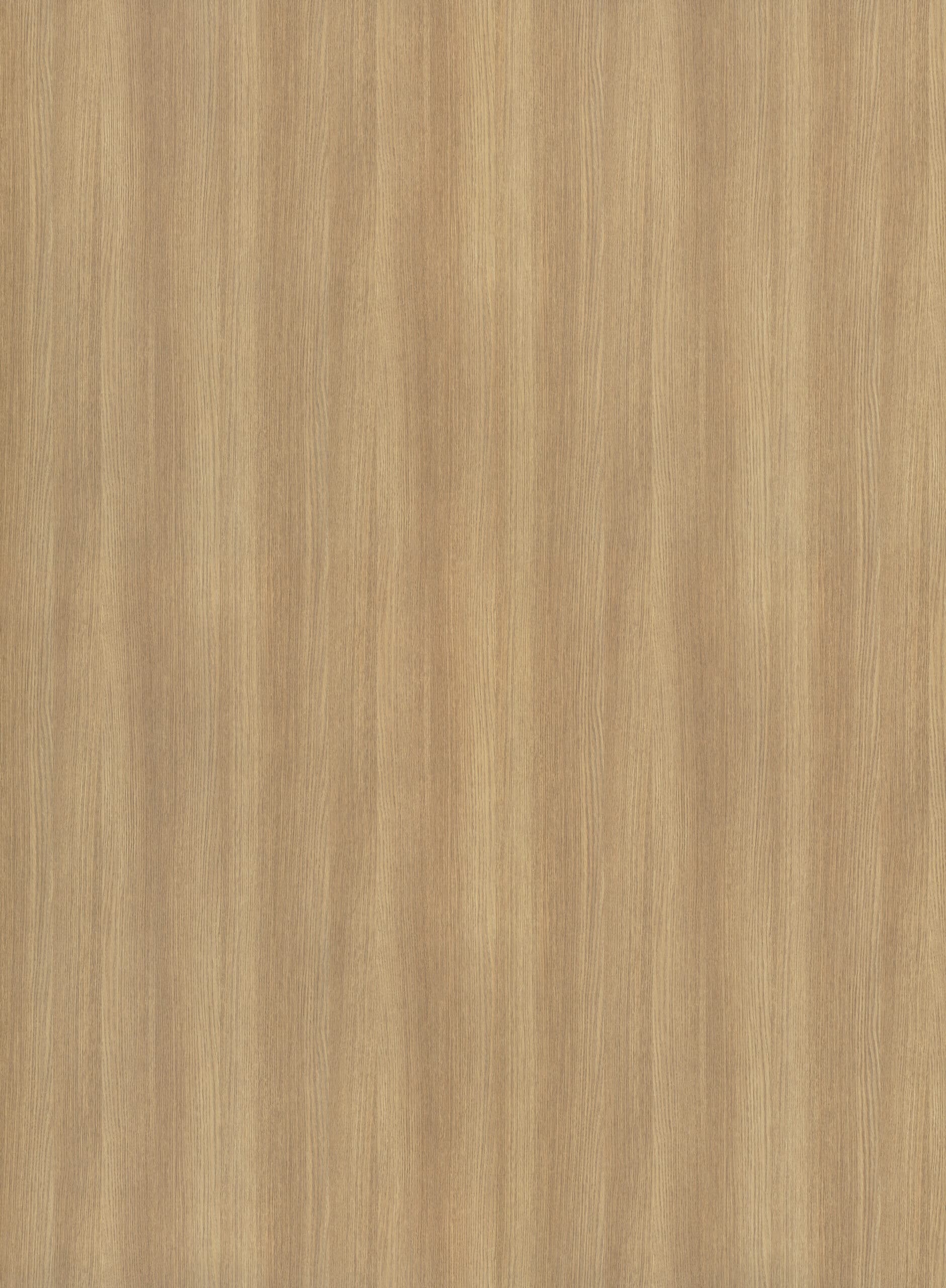 S203 Quercia hele plaatafbeelding