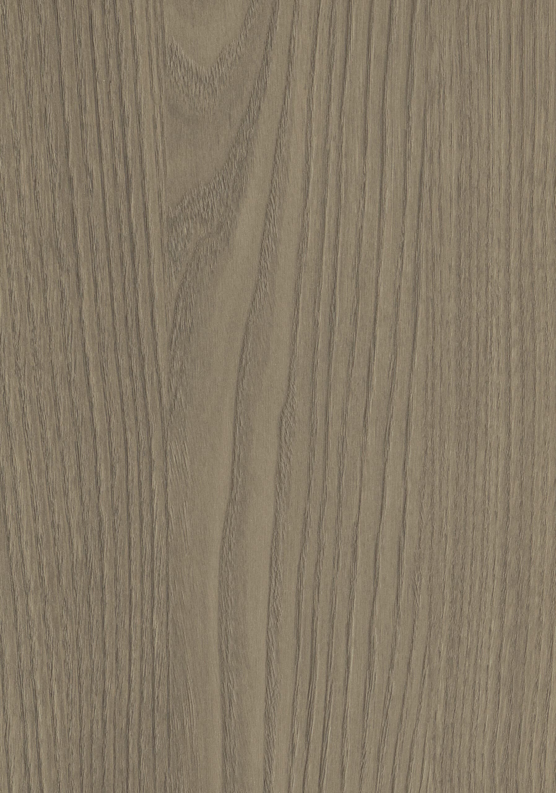 Decoratief plaatmateriaal hout detailscan