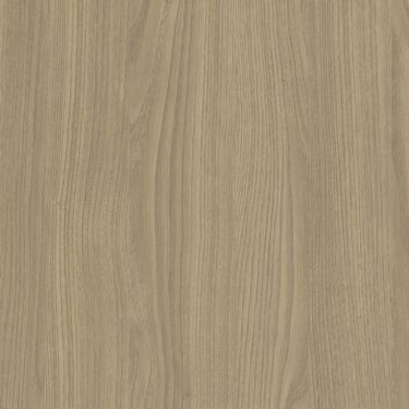 S173 Corteccia