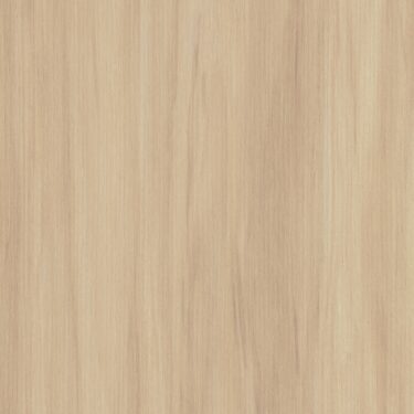 LS64 Ceppo