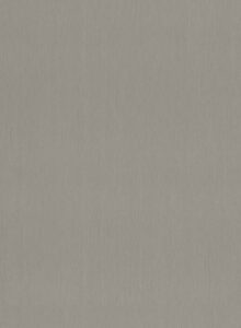 Hele plaatafbeelding van de FC84 Reflex, een zilvergrijs metallic decor