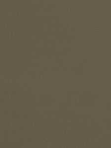 Detailafbeelding van decoratief plaatmateriaal met een moerasgroene natuursteenlook, de FD38 Taranta van Cleaf.