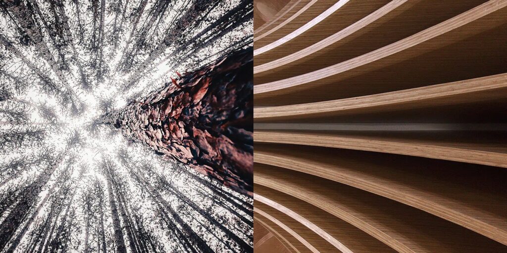 FSC® Certificering DecoLegno