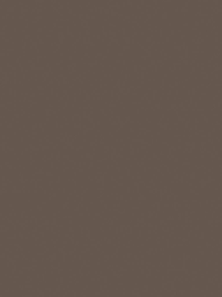 Detailafbeelding van decoratief plaatmateriaal met een mocha mousse unikleur, de HM13 Piombo van Cleaf.