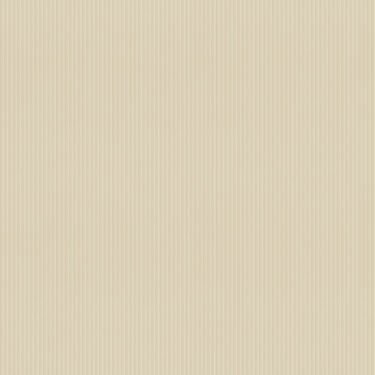 Current product image
