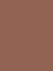Detailafbeelding van decoratief plaatmateriaal met een oranje-terracotta unikleur, de UB76 Ovatta van Cleaf.
