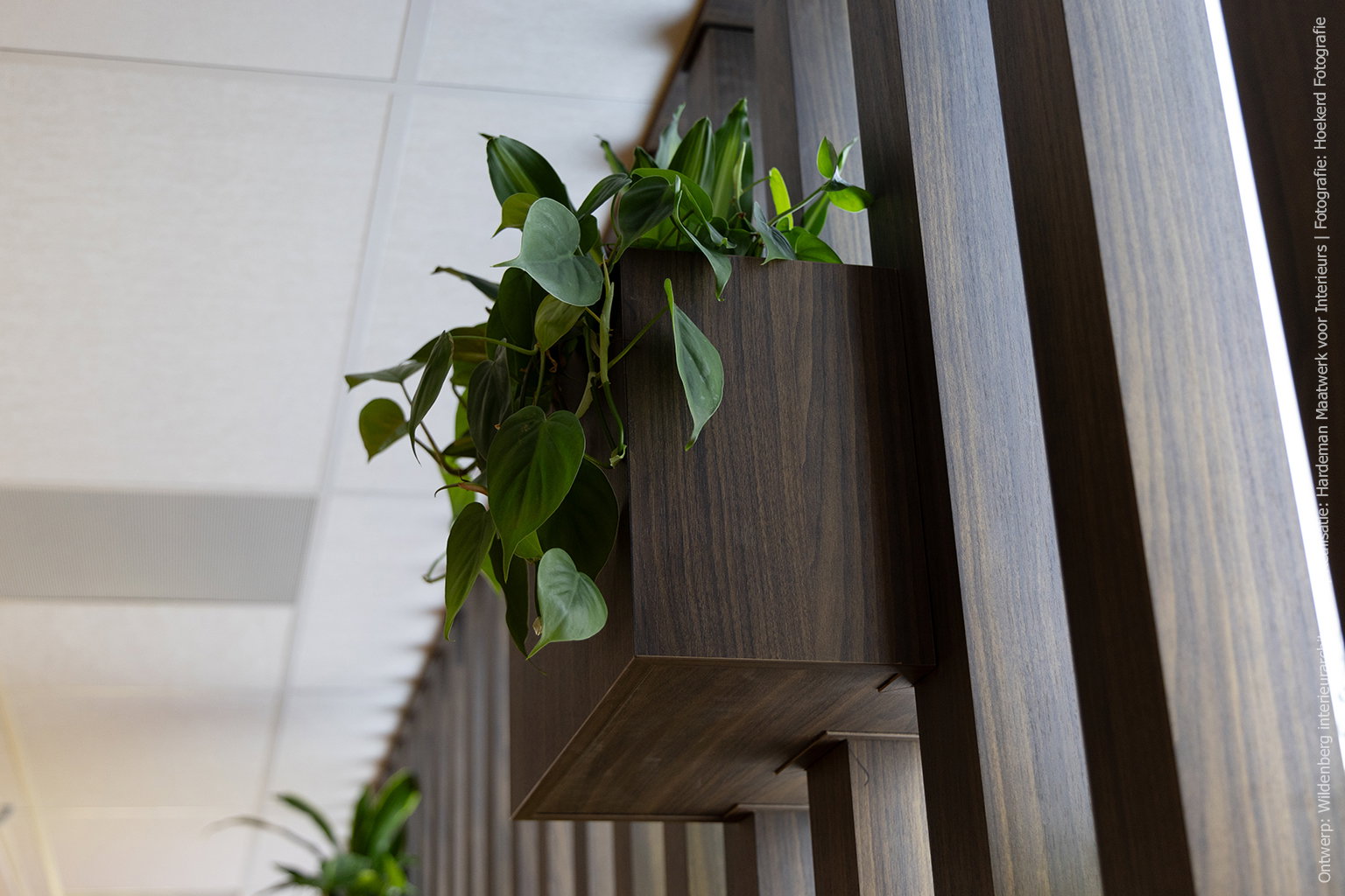 Detailafbeelding verticale raamdecoratie in Cleaf LS17 Poro Noce met hangende plantenbakken.