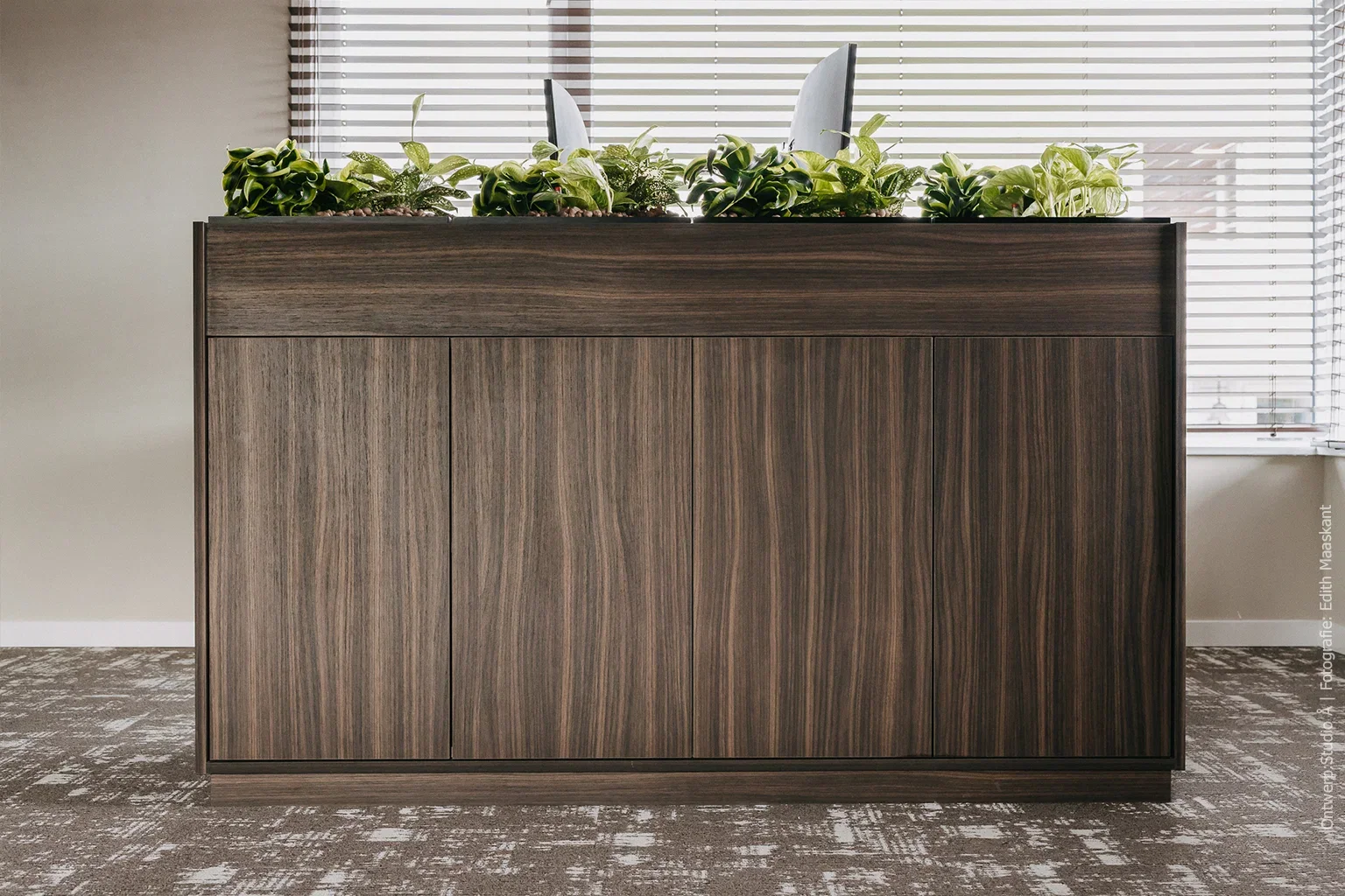 Moderne werkruimte met plantenbakken in LS53 Poro Noce van Cleaf, geïnspireerd op kwartiers gezaagd walnoothout.